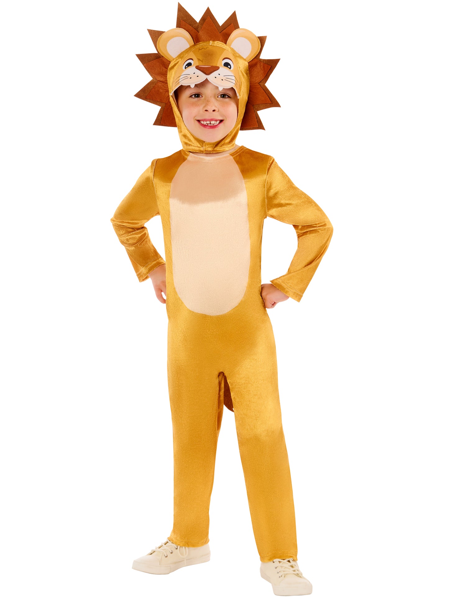 Childrens Lion Costume