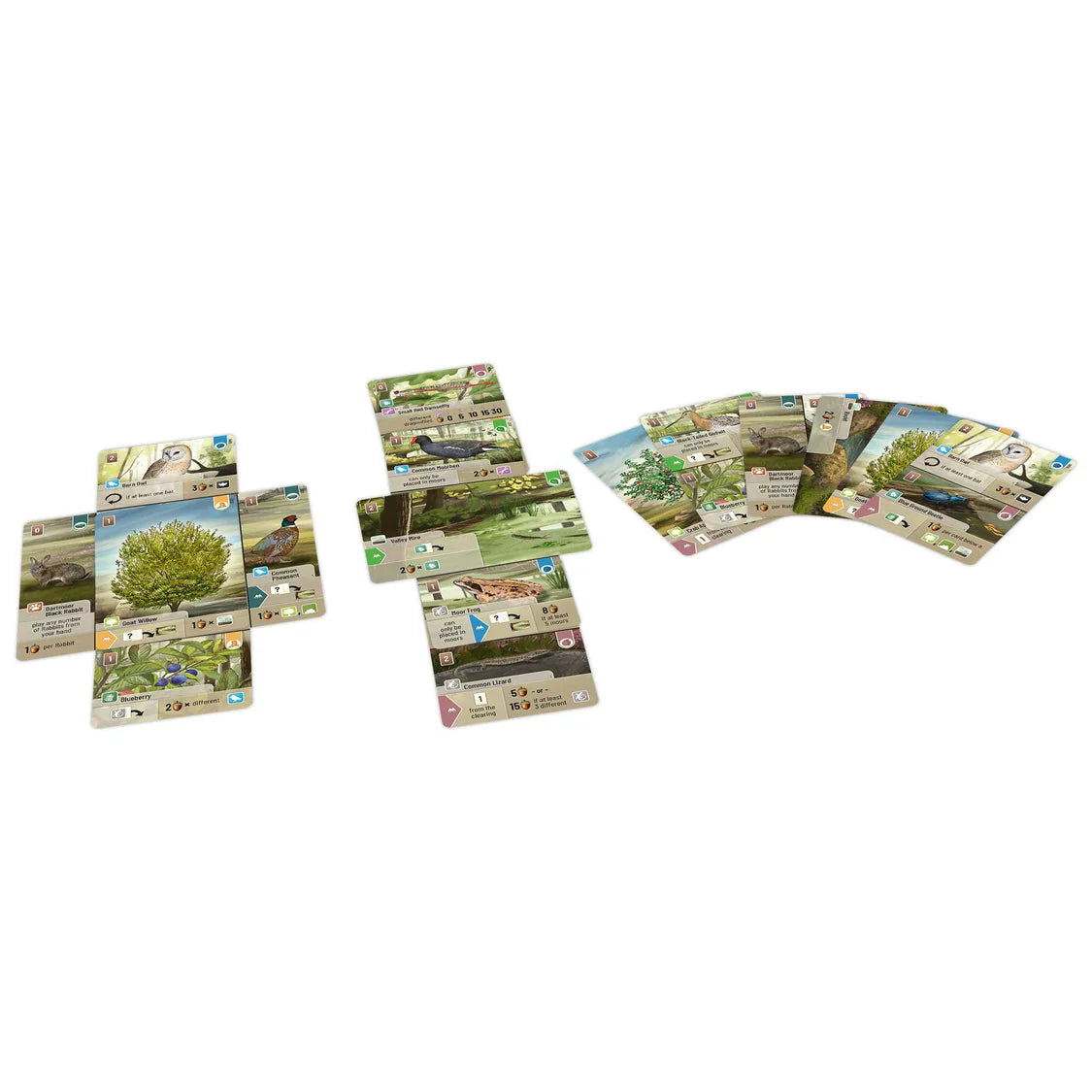 Forest Shuffle Dartmoor Game