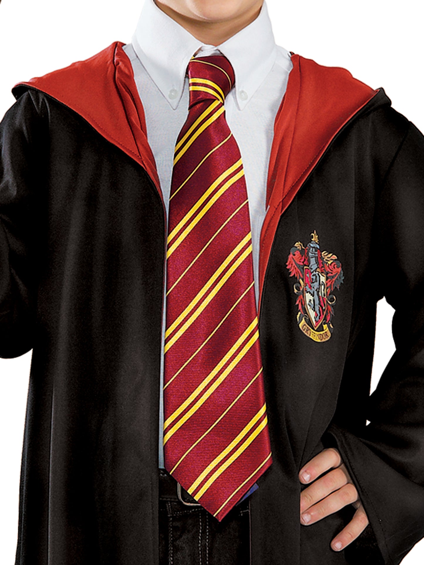 Harry Potter Tie Costume Accessory