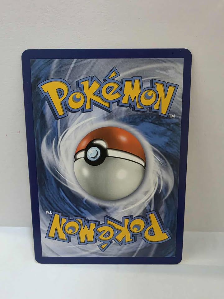 Pokemon TCG Adventure Bag (LOT 228)