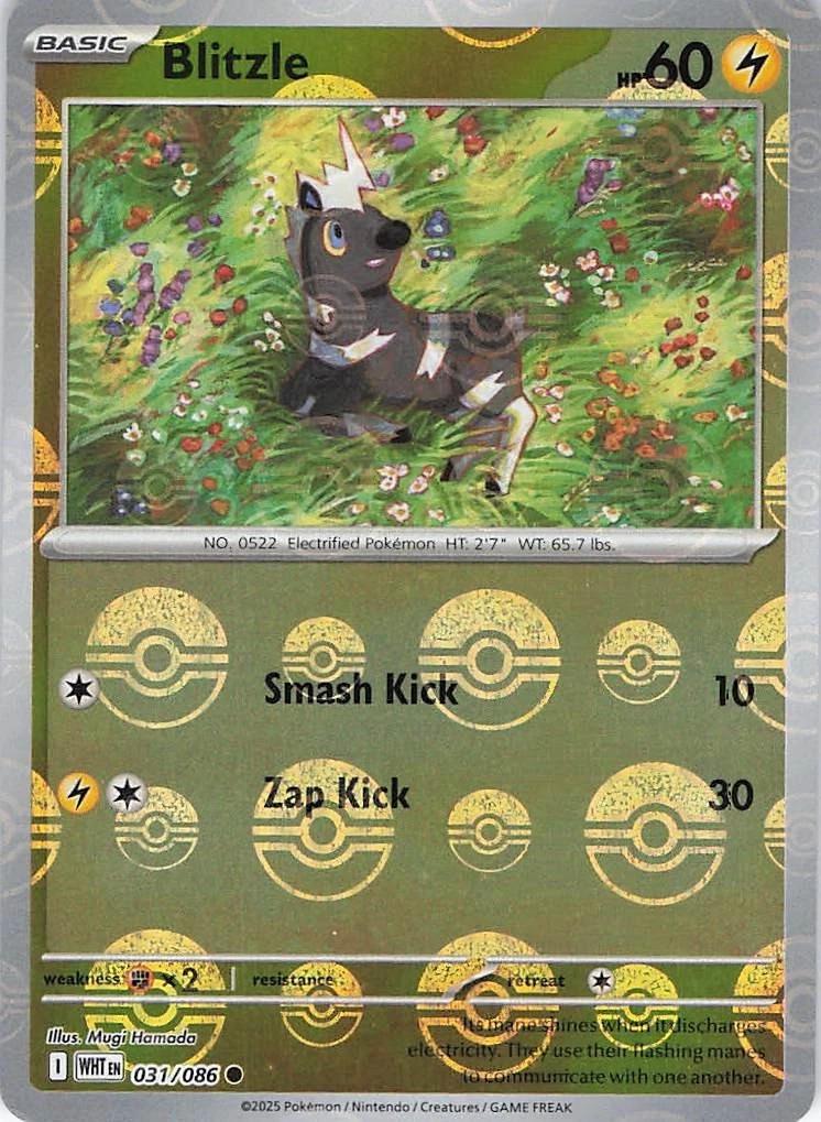 Pokémon TCG Blitzle (xWHT 031)