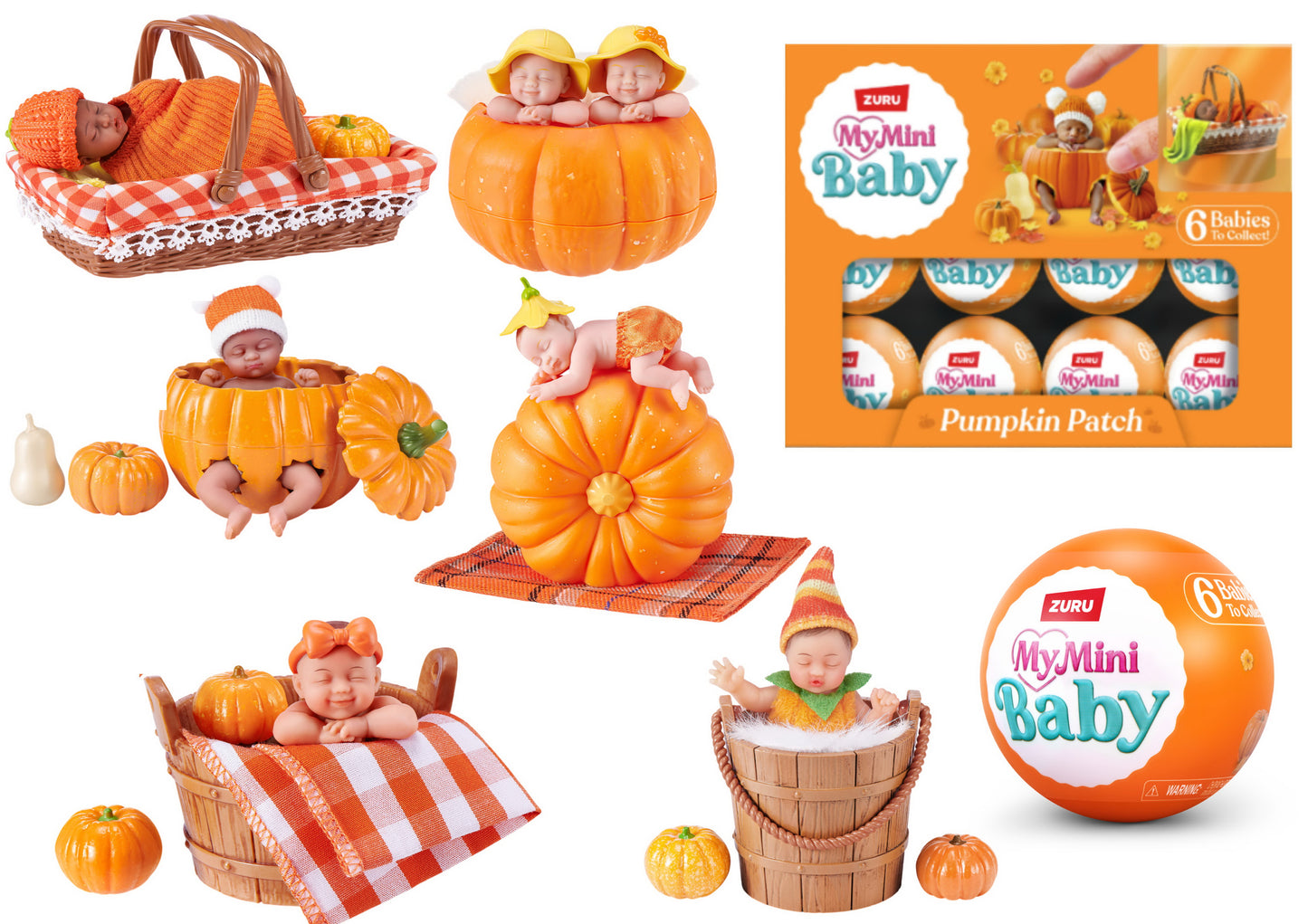 My Mini Baby Pumpkin Patch S1
