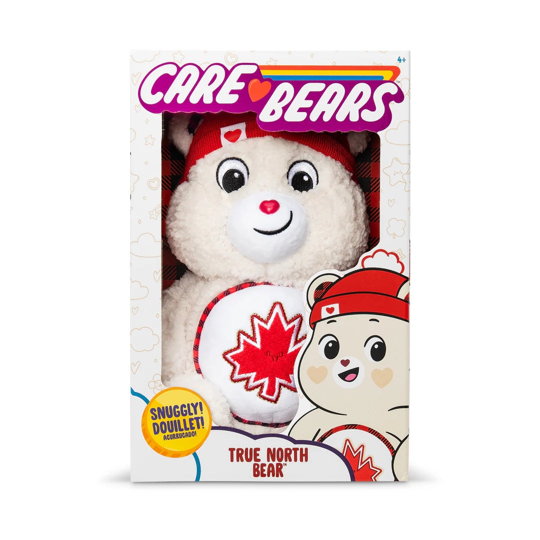 Care Bears 35cm True North Bear 2.0