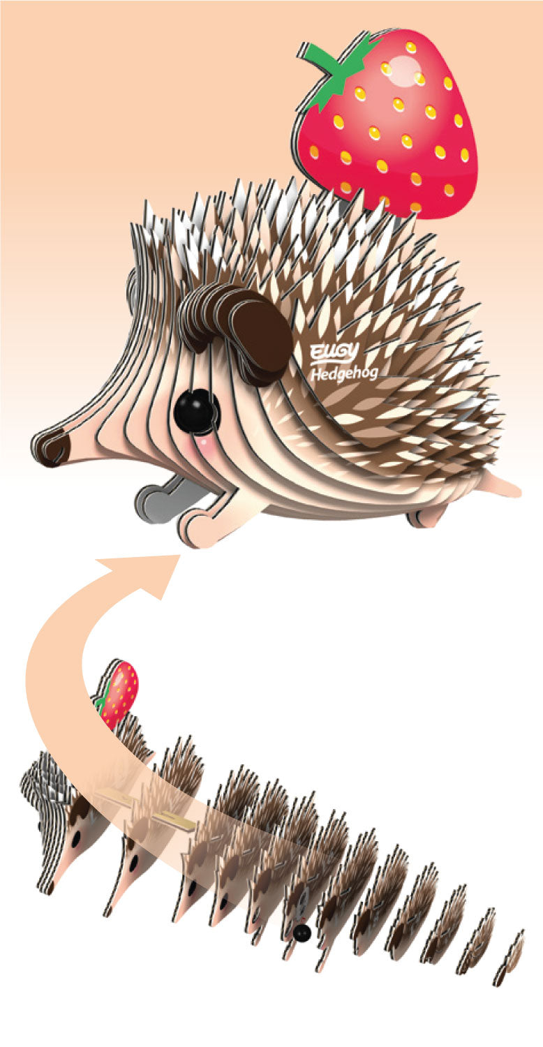 EUGY Hedgehog