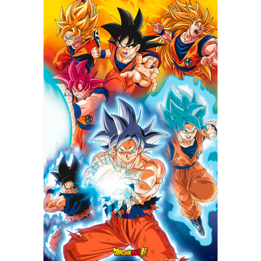 Dragon Ball Z Goku Poster