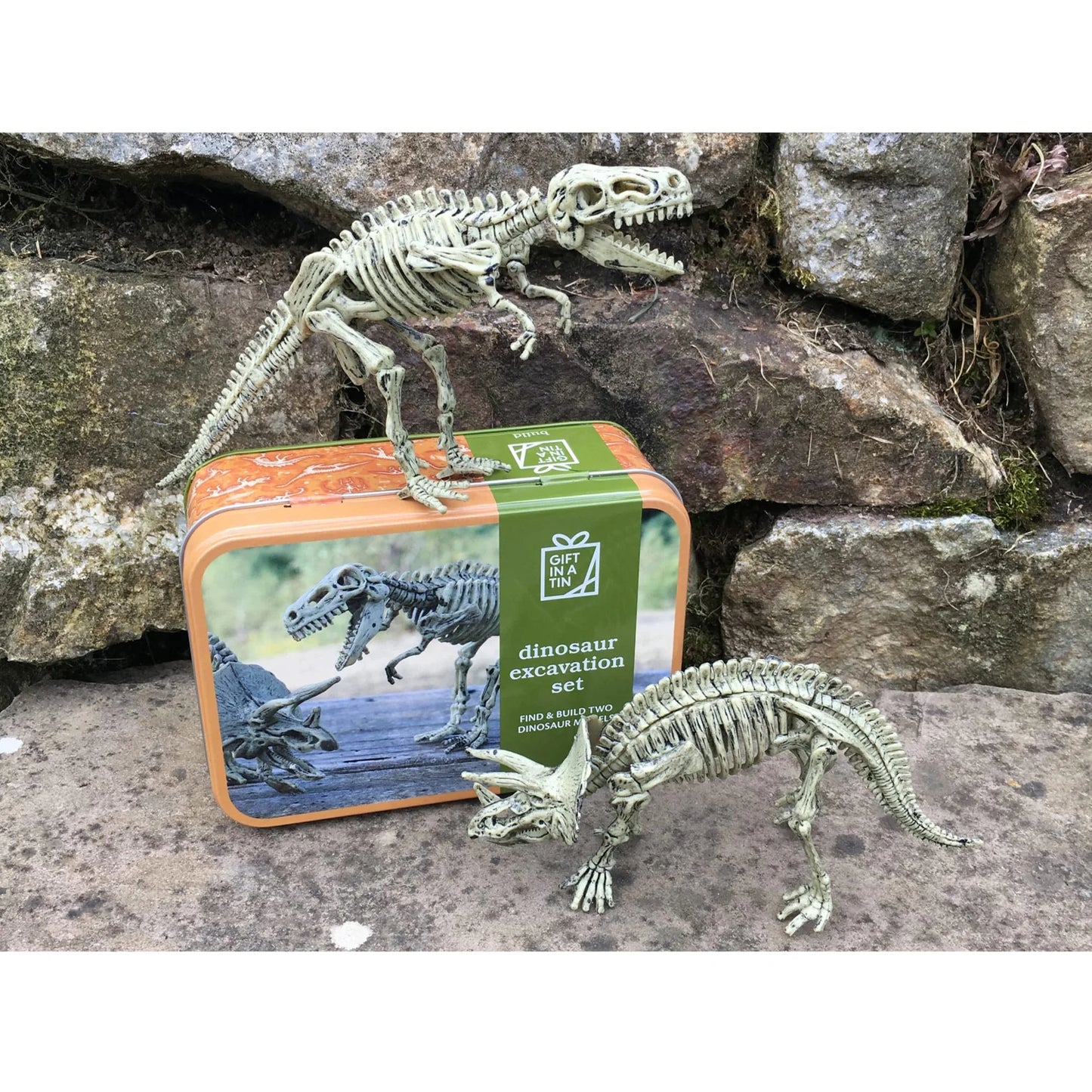 Gift in a Tin Dinosaur Excavation Kit