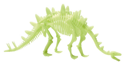 Glow in the Dark Stegosaurus Skeleton