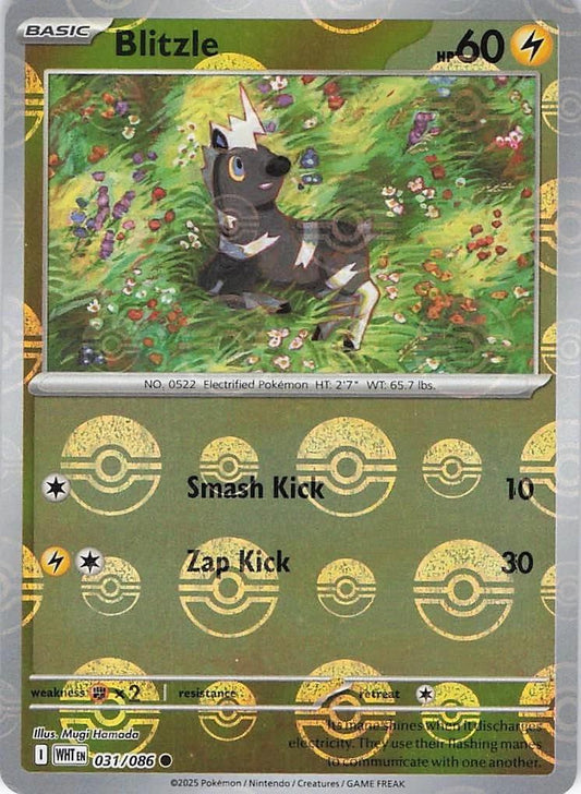 Pokémon TCG Blitzle (xWHT 031)