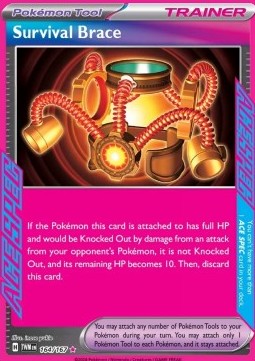 Pokemon TCG Survival Brace (TWM 164)