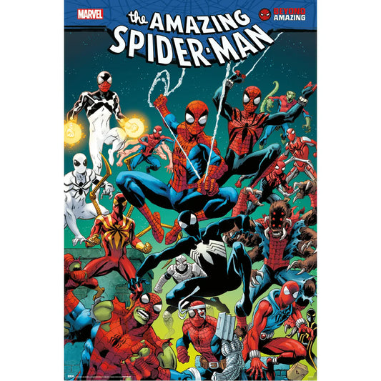 Marvel Spider-Man Spider Web Poster