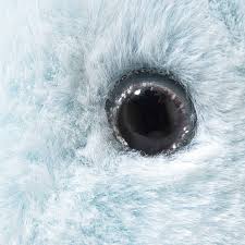 Steiff Harry Potter Patronus stag Plush